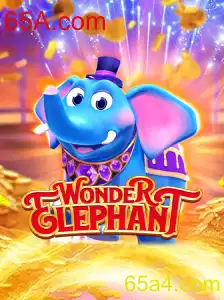 Descubra o Fascinante Mundo de WonderElephant